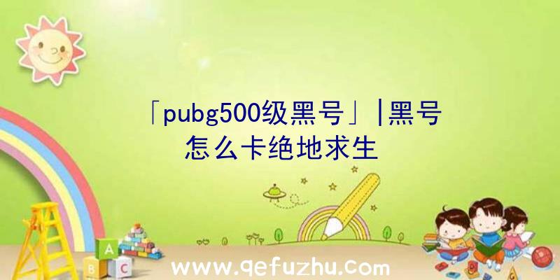 「pubg500级黑号」|黑号怎么卡绝地求生